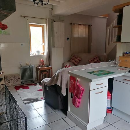 Le Petit Verger, 1 Impasse De La Fenouillere 61330 Céaucé Exteriör bild