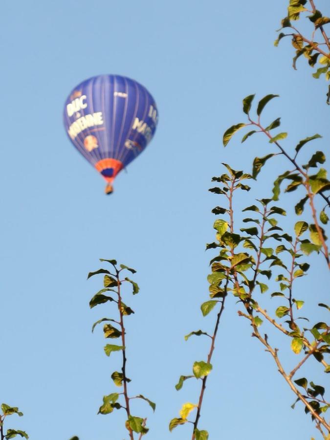 Le Petit Verger, 1 Impasse De La Fenouillere 61330 Céaucé Exteriör bild